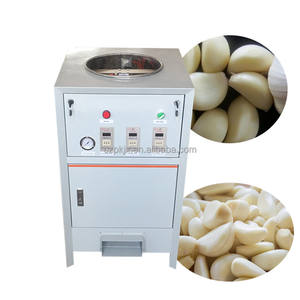 Pulvérisation automatique à haute productivité/éplucheur d'ail électrique en acier inoxydable - Product Image 2