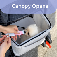 Poussette pliable à 4 roues pour animaux de compagnie, chien, chat, chariot de voyage léger avec panier de rangement amovible pour animaux de compagnie de petite et moyenne taille