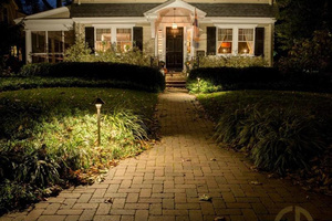 Éclairage paysager en laiton de haute qualité 12 volts 6 pouces, éclairage LED extérieur pour jardin, lumières de chemin pour allée et paysage - Product Image 4