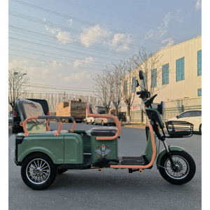 Commercio all'ingrosso 800W uso domestico triciclo elettrico bicicletta Ebike <span class=keywords><strong>a</strong></span> <span class=keywords><strong>3</strong></span> <span class=keywords><strong>ruote</strong></span> con Top Rack Golf Cart corpo chiuso 60V tensione - Product Image 4