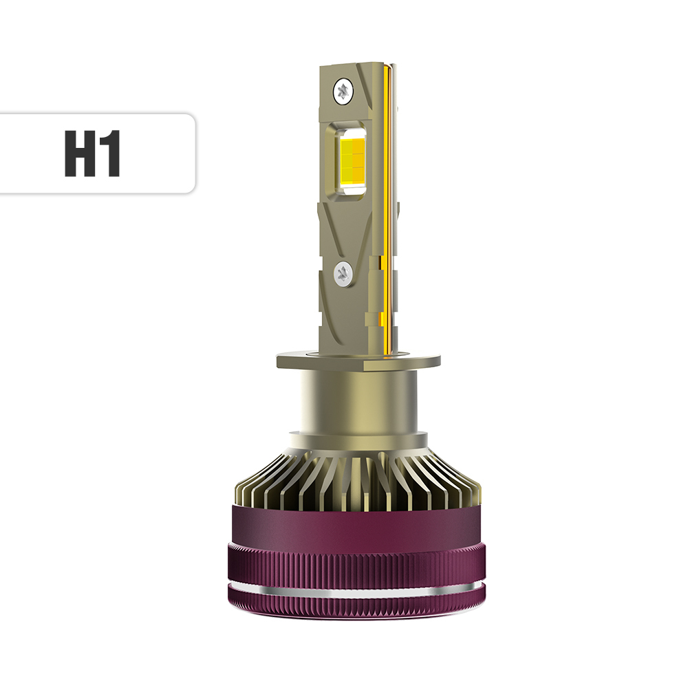 H1