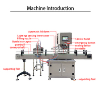 Machine de remplissage et de scellage entièrement automatique de 200 ml pour bouteilles de métal, idéale pour les boissons, le jus de noix de coco et les jus de fruits – Meilleures ventes