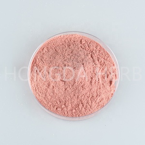 Basso prezzo 100% naturale succo di ciliegia concentrato di succo di ciliegia polvere di ciliegia in polvere - Product Image 3