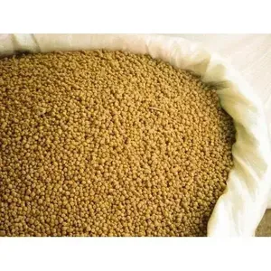 Alimento Flotante Premium para Peces de la India, Nutrición Sostenible de Alta Calidad, Ideal para el Crecimiento Saludable de los Peces, Ecológico y Seguro - Product Image 1