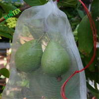 Jaring pelindung nyamuk burung, tas jaring pelindung nyamuk taman 30*20cm, kantung jaring perlindungan bunga sayuran buah