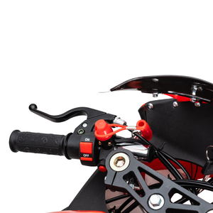 Mini moto de course tout-terrain SC60cc à moteur 60cc haute performance, refroidie par air, 4 temps, à essence, couleur personnalisée - Product Image 2