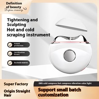 Compresse chaude froide Massage du visage dispositif de grattage Vibration Micro courant Instrument de beauté ménage soins personnels fait ABS