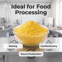 Poudre de jaune d'œuf de qualité supérieure en vrac, émulsifiant naturel riche en lécithine, riches en protéines, vitamines liposolubles pour la pâtisserie et la confiserie