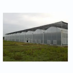 Automatic Greenhouse With UV Film Covered Climate Controlled Greenhouse Agriculture Farming