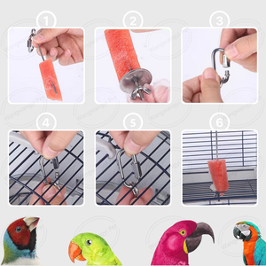 Stainless Steel <strong>Bird</strong> Skewer <strong>Food</strong> Holder Parrot Hanging Vegetable <strong>Fruit</strong> Feeder - Product Image 5
