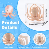 Vente chaude Résine Artisanat Taxidermie Biologique Pieuvre Acrylique Décor pour L'enseignement En Classe et Graduation Retour À L'école