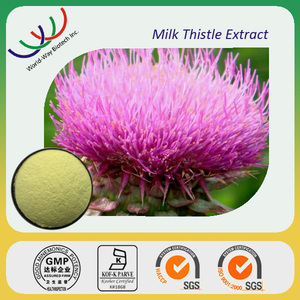 โรงงานผลิตสารสกัดจาก Thistle นม Silybinin Milk 30% ชั้นดีส่งตรงจากโรงงานผงสารสกัดจาก Thistle นมดีท็อกซ์ตับสำหรับอาหารเสริมสมุนไพร - Product Image 4