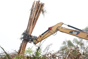 Vente directe d'usine XUVOL, adapté aux excavatrices de 6 à 9 tonnes, pince à bois monocylindre, mini pelle, pince à bois - Product Image 4