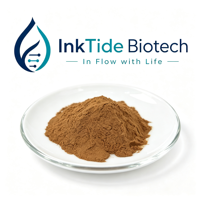 Extrait de feuille d'arbousier en poudre Arbutine 10%-98% Matière première végétale Échantillon gratuit Ink Tide Biotech