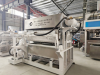 Machine de fabrication de barquettes à œufs WONGS à haute performance (4000-5000 pièces/h), prix abordable, ligne de production automatique de moules en pâte, 380V