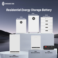 Batterie lithium murale 51,2 V 100 Ah, vente en gros, revendeurs de batteries solaires domestiques recherchés
