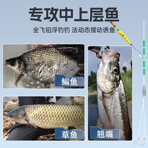 Asiento de pesca todo en uno con base de silicona integrada para la pesca de peces grandes, flotadores deslizantes y de movimiento oscilante, forma rectangular, duradero - Product Image 3