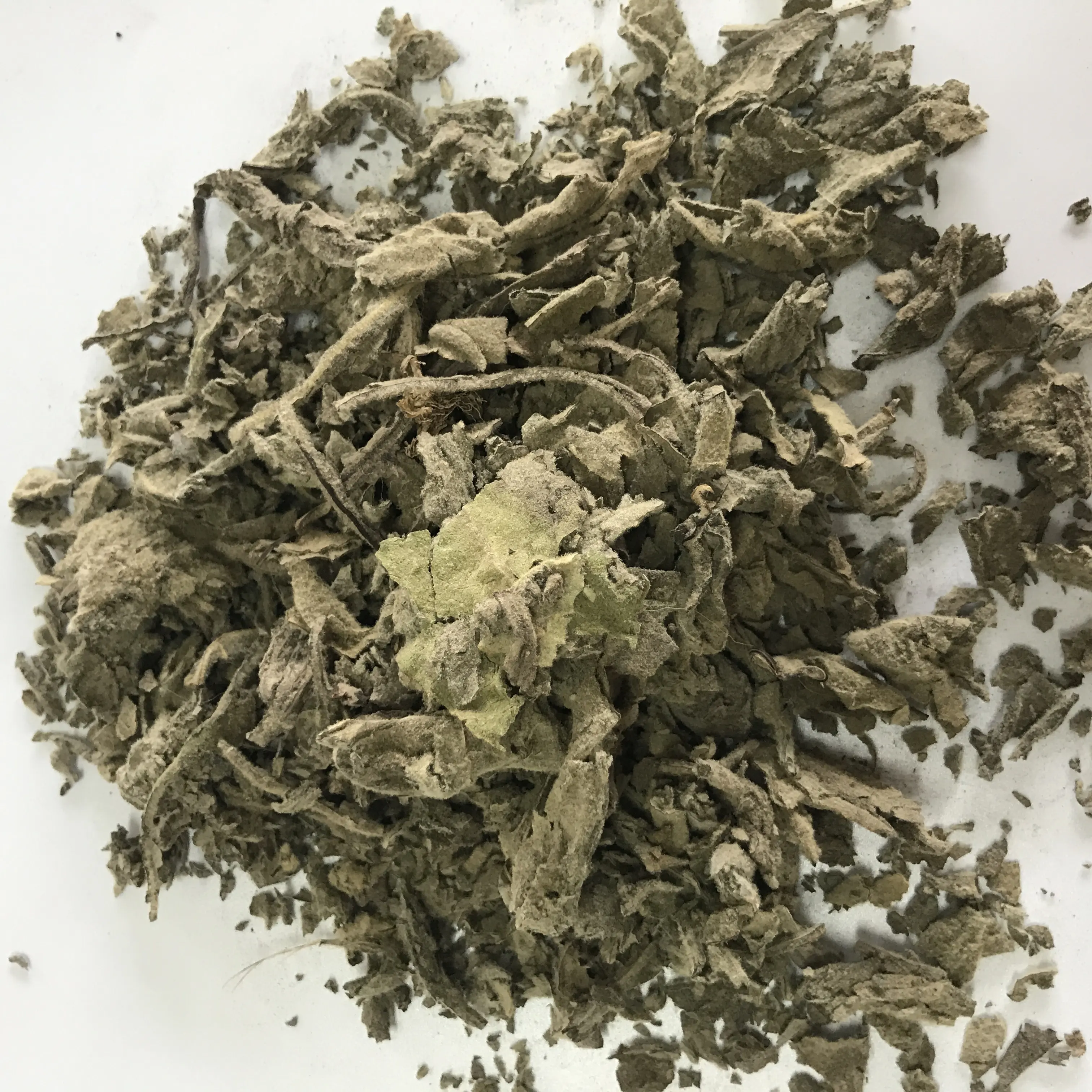 L009 Mao rui hua Grande feuille de molène séchée en vrac Herbe naturelle de haute qualité flores verbasci Tea