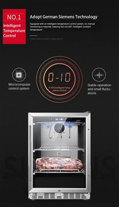 Livraison gratuite 240 litres affichage de cuisine construit dans le boeuf viande durcissement armoire steak maturation réfrigérateur - Product Image 6