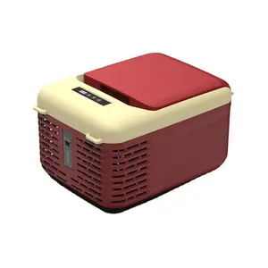 V9 Mini formato colore rosso e giallo 12V 24Vmini frigo prezzo di fabbrica piccolo congelatore compressore frigorifero mobile