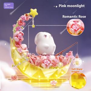 Set de Bloques de Construcción Moonlight Society 804258-59, Juguete de Plástico para Niñas, Luz Nocturna, Regalo de Cumpleaños, Juguete de Ensueño - Product Image 1