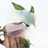 Bandes hydrocolloïdes absorbantes pour points noirs et pores du nez