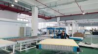 Usine de matelas OEM/ODM en gros – Matelas hybride 25 cm en mousse à mémoire de forme et ressorts ensachés en acier haute teneur en carbone, tailles Queen et King, avec soie glacée rafraîchissante
