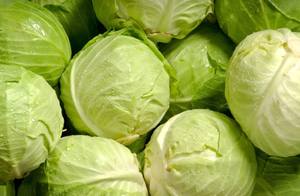 สารสกัดสมุนไพรพรีเมียมจากกะหล่ำปลีเกาหลี ดีลี่ คอร์ แคบเบจ 30 ซอง อาหารเสริมบำรุงระบบย่อยอาหารและสุขภาพลำไส้ - Product Image 4