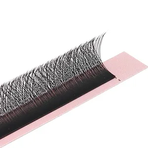 Volume Eyelash W V YY Shape Extension False Eyelashes 3D 4D 5D 6D W Lashes Private Label Mink Individual Eyelashes Extensions