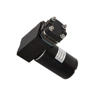 Fluidsmart 10bar haute pression 15L/min pompe à vide à gaz 12v/24v acier inoxydable dc piston micro pompe à air