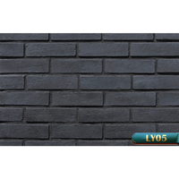 Briques murales extérieures fines en faux béton résistantes aux acides BERICH LY04 en promotion