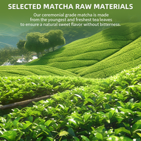 Poudre de Matcha Latte Fraise Bio en Boîte Personnalisée 30g – Marque Privée OEM