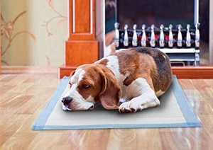 CDHB Tapis d'apprentissage jetable personnalisé 5 couches pour chiots avec SAP, choc électrique et vibration, étanche, design tendance - Product Image 4