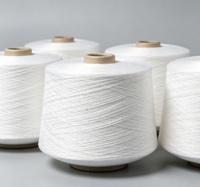 Sock Knitting Raw Material 21S Ti-White 100% Polyester Yarn High Tenacity for Sewing