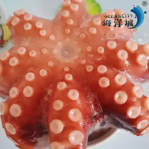 Produsen Outlet makanan laut beku gurita besar Vulgaris Frozen gurita lezat tanpa makanan RTE berpengalaman