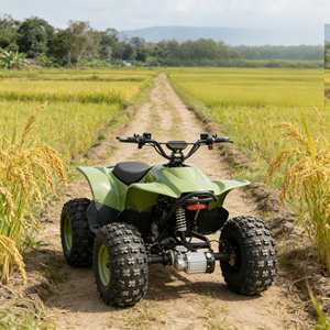 Popular Buggy para Dunas con Motor Pequeño, Perfecto para Principiantes y Quienes Buscan una Potencia Manejable en las Dunas - Product Image 1