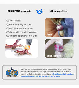 Venta al por mayor de fábrica, máquina de pájaros y loros personalizada, revisión de pájaros de Metal, anillos de bola redonda para pájaros, palomas, anillo de Metal, caídas de palomas - Product Image 4