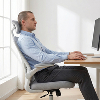Chaise de bureau ergonomique en maille, réglable, pivotante, robuste, pour ordinateur, vente en gros, directement de l'usine