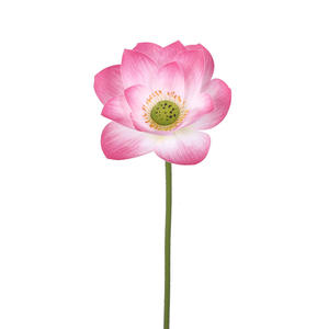 Realistico galleggiante dal vivo pianta artificiale <span class=keywords><strong>fiore</strong></span> di loto ninfea acquatica per vaso interno stagno acquario decorazione - Product Image 4