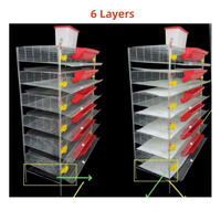 Vente en gros : Nouvelles cages à cailles de type H à 6 niveaux, en maille, en plastique, pour usage domestique et production d'œufs, adaptées aux élevages de poulets et autres cages pour animaux.