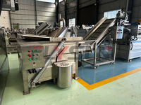 Volledig automatische productielijn voor het frituren van diepvriesproducten, zoals diepvriesfrieten en kipnuggets.