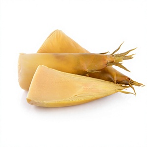 Pousse de bambou Offre Spéciale pousse de bambou marinée bas prix de haute qualité pour l'exportation - Product Image 1