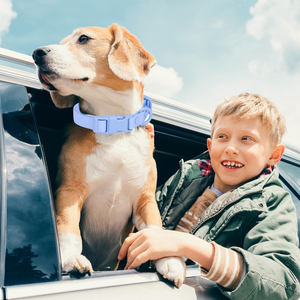Custom Wholesale PVC Adjustable Buckle Dog Collar <b>Waterproof</b> Dirt Resistant Easy to Clean Pet Leash Set for Training - Product Image 4