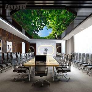 Films de plafond tendu MSD les plus populaires au prix d'usine, designs de plafonds suspendus pour <span class=keywords><strong>cuisine</strong></span> - Product Image 5