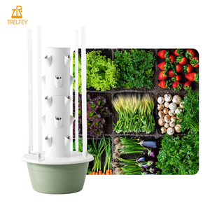 Hidroponía de fresa en África, soluciones de cultivo vertical de bajo costo para altos rendimientos - Product Image 5