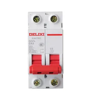 DELIXI Electrical Mcb Miniature 2 Pole Thermal Magnetic Automatic Circuit Breaker Made In China 2P Li ABS IP 20 63A