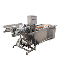 Industriële commerciële fruit- en groentewasmachine met motor en aandrijving, multifunctionele reinigingsapparatuur