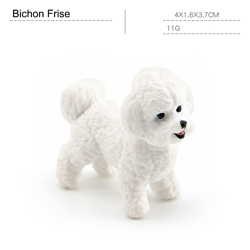 Bichón Frisé