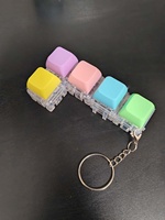 New Arrival Plastic Keycap Clicker Fidget Toy Detachable Building Block Keychain with DIY Assemble and Stress Relief Function
