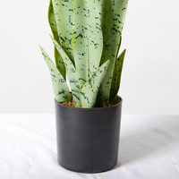 Plante bonsaï artificielle serpent de 56CM